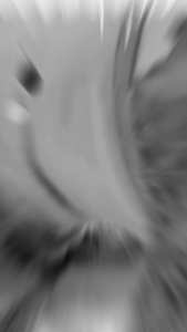 โอบิ (แบบซักได้) ผ้าอ้อมสุนัขเพศผู้ ผ้าอ้อมหมา แพมเพิส ผ้าอ้อมสัตว์เลี้ยง สุนัข โอบิซักได้