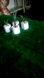 pot mini pot kaktus pot sekulen pot wadah lilin dll