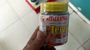 Terasi Sidoarjo Siap Pakai