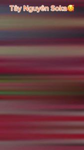 Hạt Dưa Rang Củi Trường Đạt Vị Bơ Túi 50g (1 Dây 10 Gói)