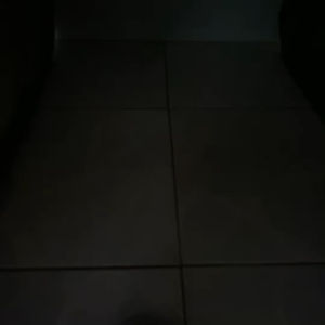 ไฟกระพริบแฟลช🔥วงกลม 8ดวง🔥12โวล ใช้เป็นไฟเบรกกระพริบ ไฟถอยกระพริบ ไฟฉุกเฉิน(จำนวน1ชิ้น)