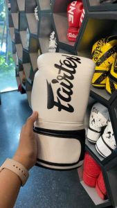 Fairtex BGV14 Microfiber Muay Thai Boxing Gloves White