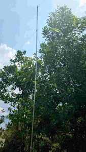 30m lưới tàng hình MÀU XANH LÁ CÂY. mắt lưới 5p chuyên bẫy chào mào họa mi hoành hoạchchòe thanlửa cu tiểu...