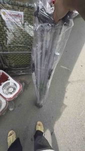 Khung võng xếp thép sơn tĩnh điện cực đặt 8kg(hình shop chụp thât)