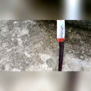 EGREK BAR STIHL: Panduan Perawatan Mesin & Aksesoris