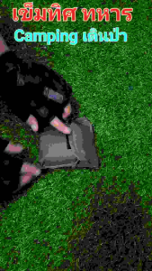 เข็มทิศ เข็มทิศเดินป่า เข็มทิศลูกเสือ