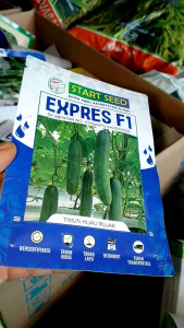 Benih Timun Hijau Rujak EXPRES F1 20 gram
