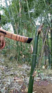 Golok Tahanan Model Macan: Sejarah & Penggunaan