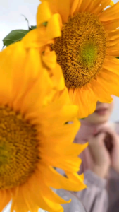 JILBAB ATAU SCRAFT SEGI EMPAT NADHEERA N 010 / SQUARE / SEGI EMPAT / TERLARIS