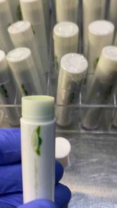 tallow lipbalm (oragnic/green apple flavor)