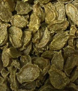 Pet Snacks Cat Treat Chicken Breast with Broccoli & Cat Grass 50g 100g 200g