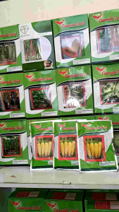 Bibit Benih Jagung Manis Unggul Baruna Garuda Seed isi Kemasan 50 Gram