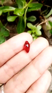 Batu mustika bunga kantil merah