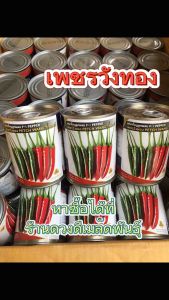 20-50กรัม เมล็ดพริกเพชรวังทอง พริกขี้หนู พริกเมล็ดพันธุ์ ขนาดใหญ่ 20 กรัม และ 50 กรัม