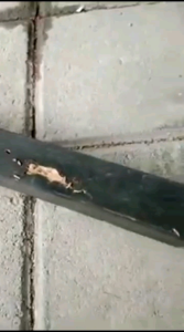 ISI ULANG Pembasmi Teter Kayu | Nonor Kayu | Lebah Kayu | Kutu Kayu | Kumbang Pengebor Kayu | ISI 500ML