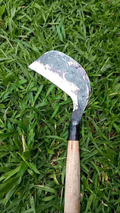parang babadan rumput kebun