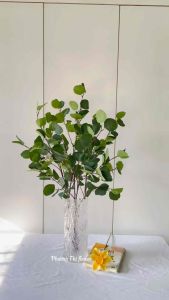 Cành lá táo giả lá táo tai voi  cành lá táo giả trang trí