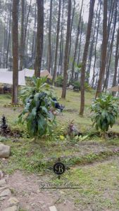 Baju Setelan Wanita One Set Amira Set