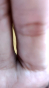 Diandra Hijab | Khimar Wolfis Wolpeach Pet Antem Size XXXL Kerudung Jumbo Jilbab Syari Murah Laris