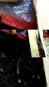 PPGG 1 LITER / INOKULAN GAHARU TERBARU DI JAMIN PANEN