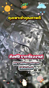 ถูกมากกก🔥 โรงงานผลิตเอง‼️ถุงเพาะชำ ถุงเพาะต้นกล้า เพาะต้นไม้ สีดำ เจาะรู หนาเหนียวทนทาน