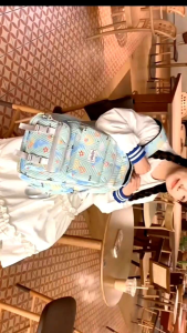 TAS RANSEL BACKPACK ANAK SEKOLAH PEREMPUAN SD SMP SMA ORNATE MODEL KULKAS BUKA TUTUK/ RANSEL CEWEK LUCU CANTIK