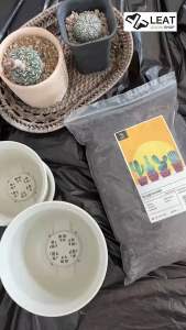 ดินปลูกแคคตัส ใช้ง่าย หมดปัญหาเชื้อรา ไม่อวบน้ำ เนื้อร่วนโปร่ง โดย Leat grow