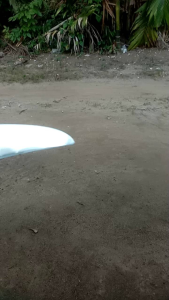 pisau panen sawit baja per