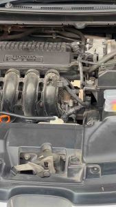 ฟิวส์ JCASE ฟิวส์รถยนต์โปรไฟล์แบบเตี้ย (Low Profile) ขนาดมาตรฐาน สำหรับรถยนต์ เรือ และรถบรรทุก