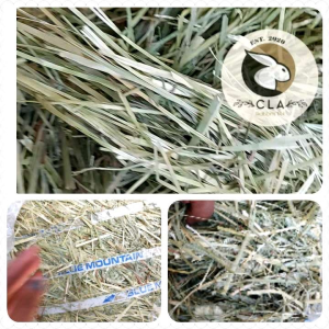 Timothy Hay 2nd Cut (Resealable Plastic)