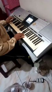 Keyboard Yamaha PSR 3000: Istimewa Organ Tunggal