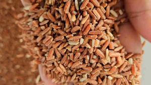 Premium Red Rice Organic (1KG)