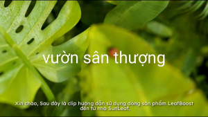 Chế phẩm Phòng trừ bệnh hữu cơ từ Sả Cam chai 500ml