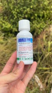 Chất diệt bọ gậy lăng quăng Abate 1SG gói 500g Hợp Trí rãi vào ao tù cống rãnh