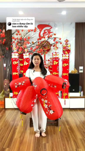 Lồng đèn hoa đào nhật bản trang trí tết treo tết decor trang trí nhà cửa