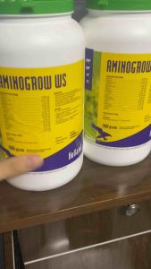 AMINOGROW WS (1kg) holland vỗ béo nâng cân nhanh an toàn