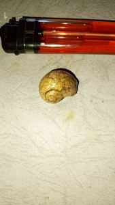 batu tarikan alam (kul Buntet p3nglar!san)