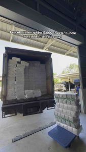 1000 Sheets Precut Table Napkins PURE PULP [Table Napkins/ Precut Tissue / White Tissue ]