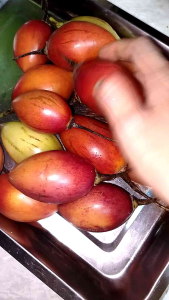 Terong Belanda 500 gram Buah Kori