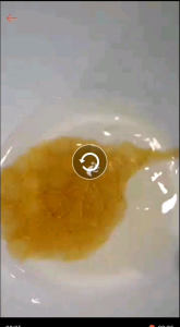 945ml Pure Raw Wild Honey in Glass Jar Souvenir Gift Idea Healthy Organic