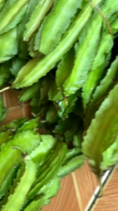 Sayur kecipir fresh organik