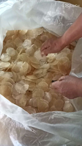 keripik kaca mentah murah /tipis bulat 1 kg kwalitas super