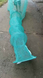 Dớn bắt cá  Đại Xanh ( ĐK 48cm 3 hôm )