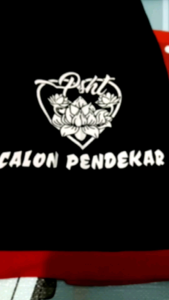 Setelan Kaos Anak Terate Kids: Kaos Anak Desain Unik & Murah