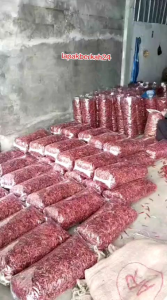MURAH SUPER ( 5.KG ) CABE RAWIT TEJA CAPLAK KERING KUALITAS SUPER PEDAS