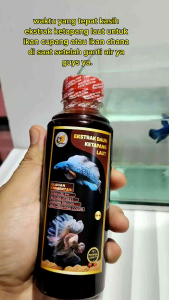 EKSTRAK DAUN KETAPANG LAUT 250ML PEKAT HASIL FERMENTASI PREMIUM Bagus Buat Ikan Cupang