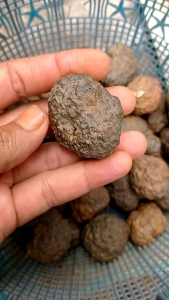 batu badar besi(selonatah)isi 6pcs