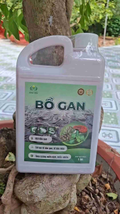 BỔ GAN 1L– Giải Độc Gan Thận Tăng Đề Kháng Giúp Tôm Cá Khỏe Mạnh | Chai 1L
