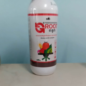 กรูท Groot ขนาด 1 ลิตร เร่งการแตกยอด แตกใบ เร่งใบอ่อนให้แก่เร็ว ใบหนา เขียวเข้ม #แอลเจอะโกร