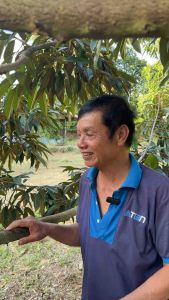 ปุ๋ยแบล็คแคท แบล็คแคทวัน